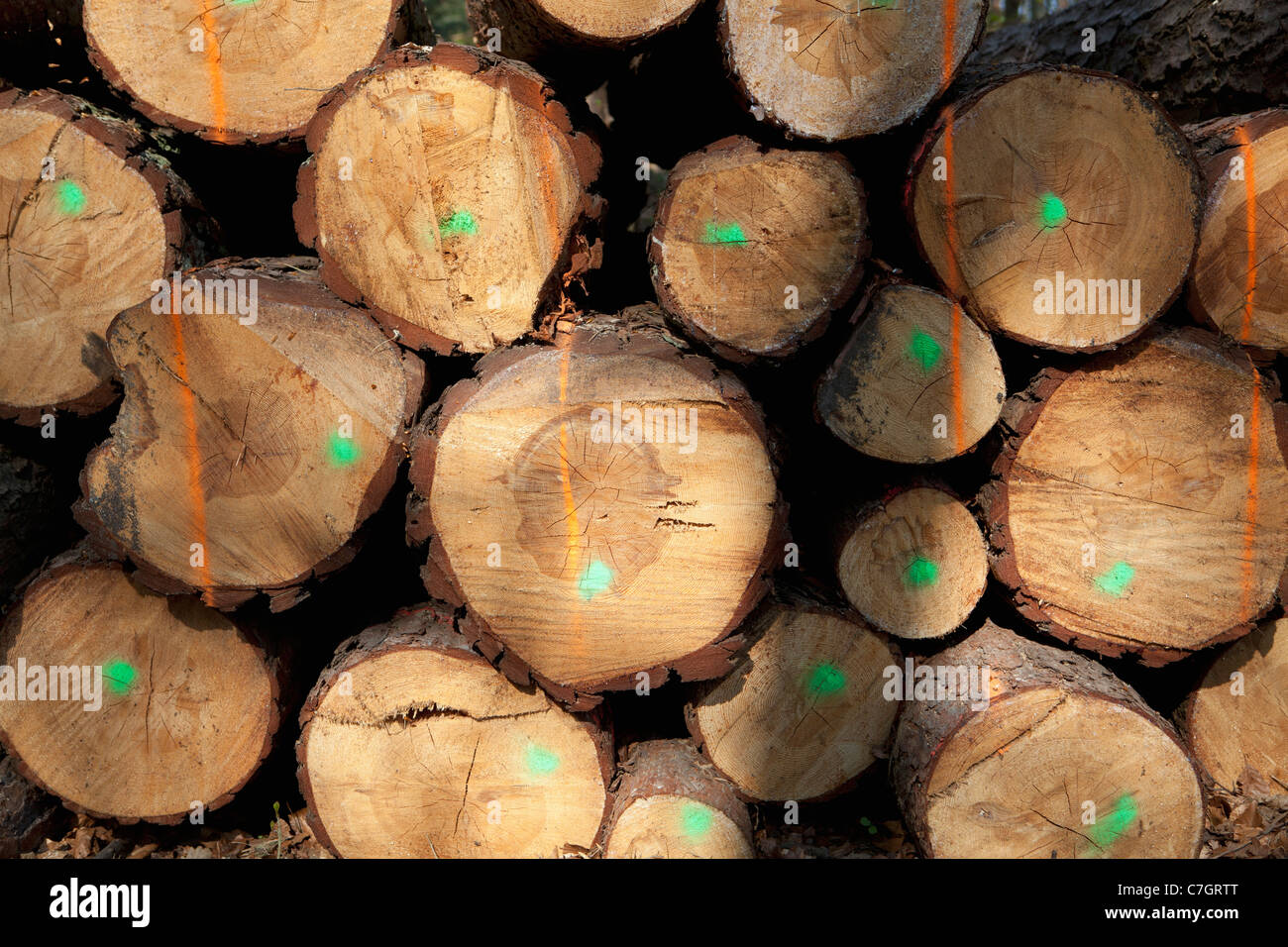 Une pile de bois Banque D'Images