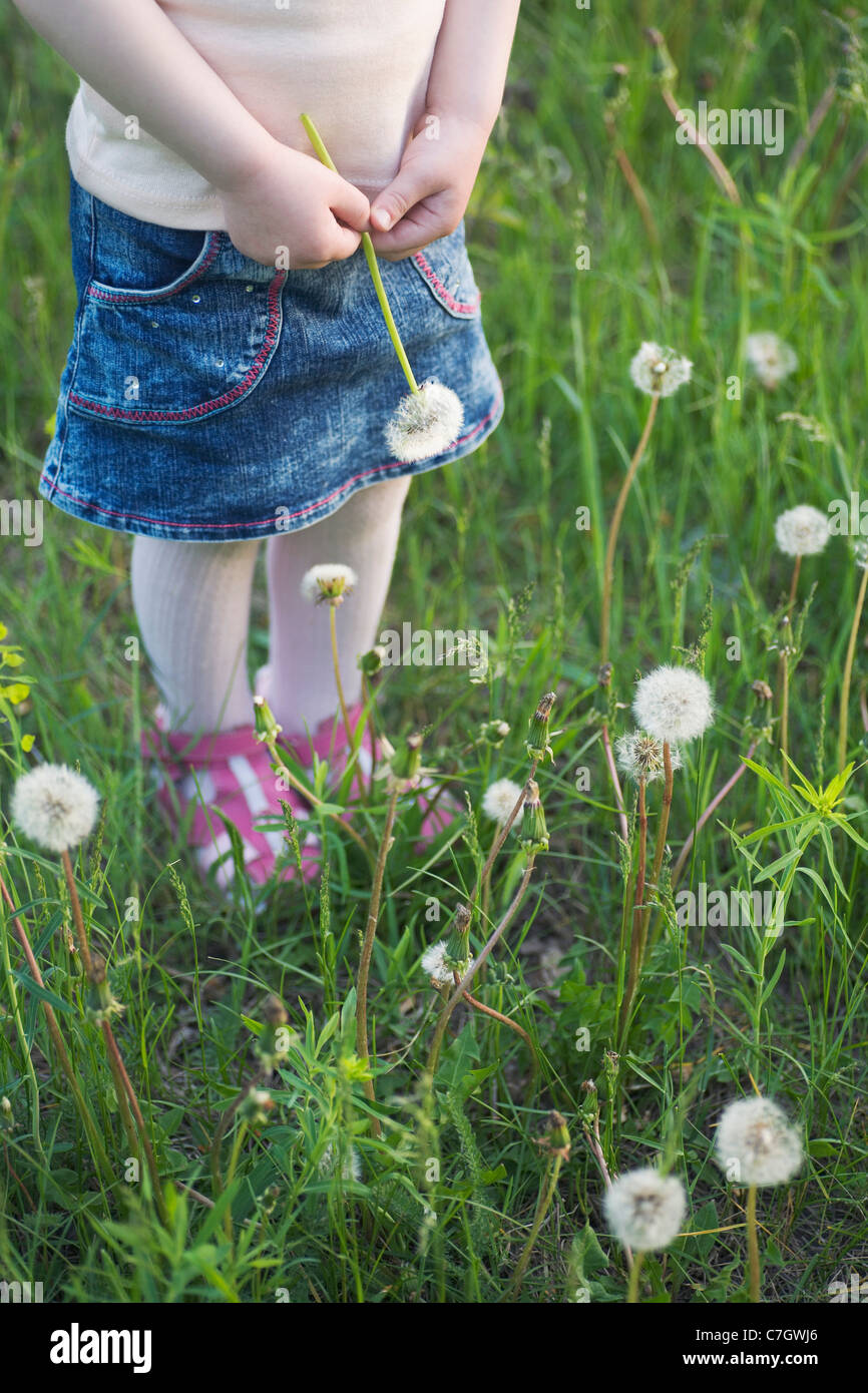 Une jeune fille tenant un pissenlit debout dans l'herbe, trois quarts, low section Banque D'Images
