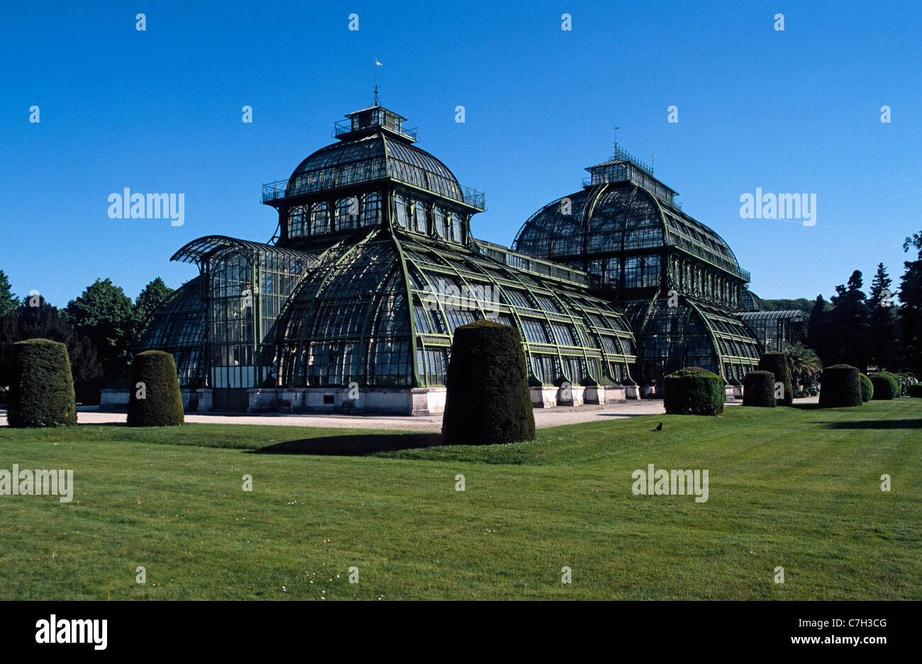 L'Autriche, Vienne, palm house dans le jardin du Palais Schonbrunn Banque D'Images