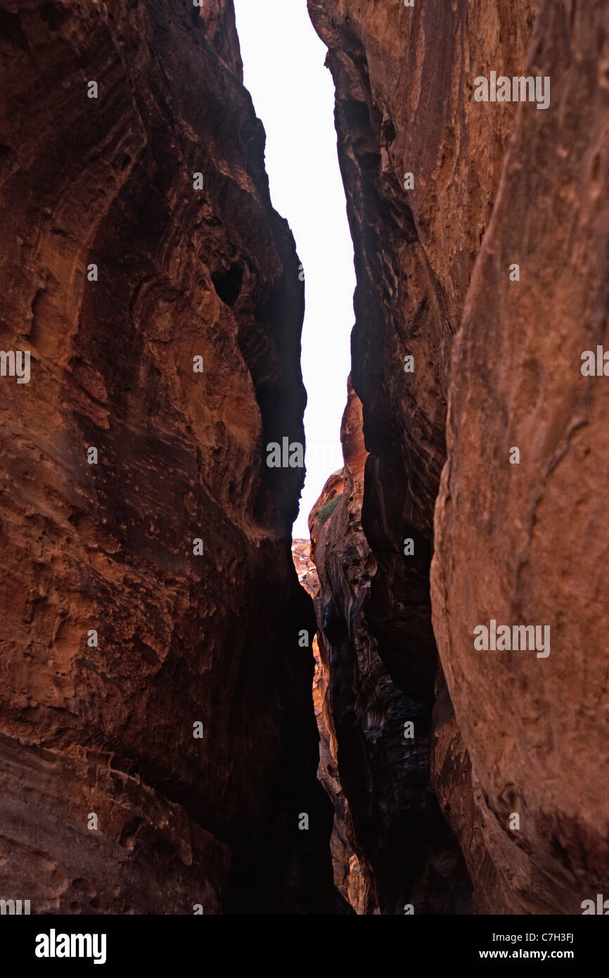 Moyen Orient, la Jordanie, Petra, vue à travers un étroit canyon naturel Banque D'Images