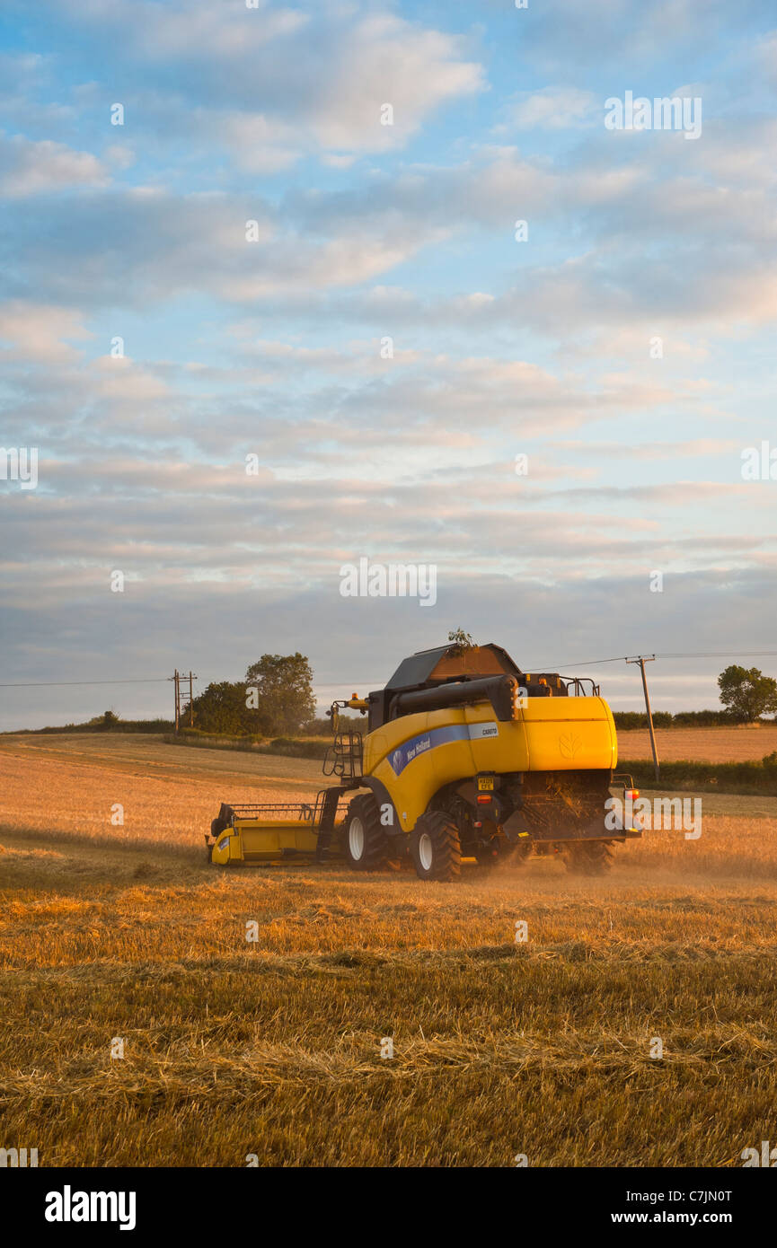Moissonneuse-batteuse de la récolte de cultures en champ agricole, Warwickshire, UK Banque D'Images