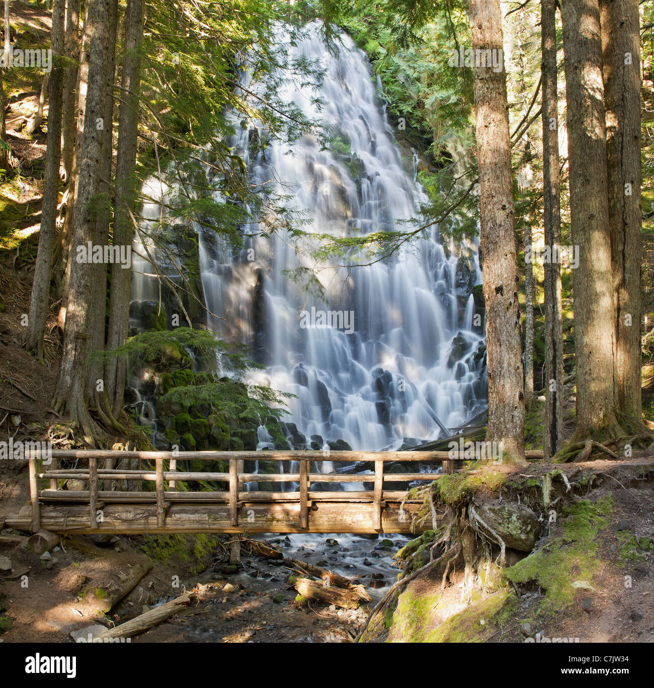 Ramona Falls et Pied en bois pont le long sentier de randonnée dans l'Oregon Banque D'Images