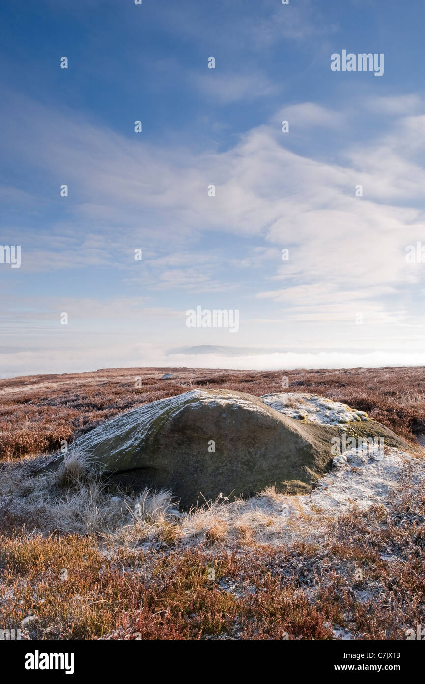 Vue panoramique de l'hiver sur les landes (paysage déserté des hautes terres, grand rocher, plantes de bruyère couvertes de gel, ciel bleu profond) - Burley Moor, Yorkshire, Royaume-Uni. Banque D'Images
