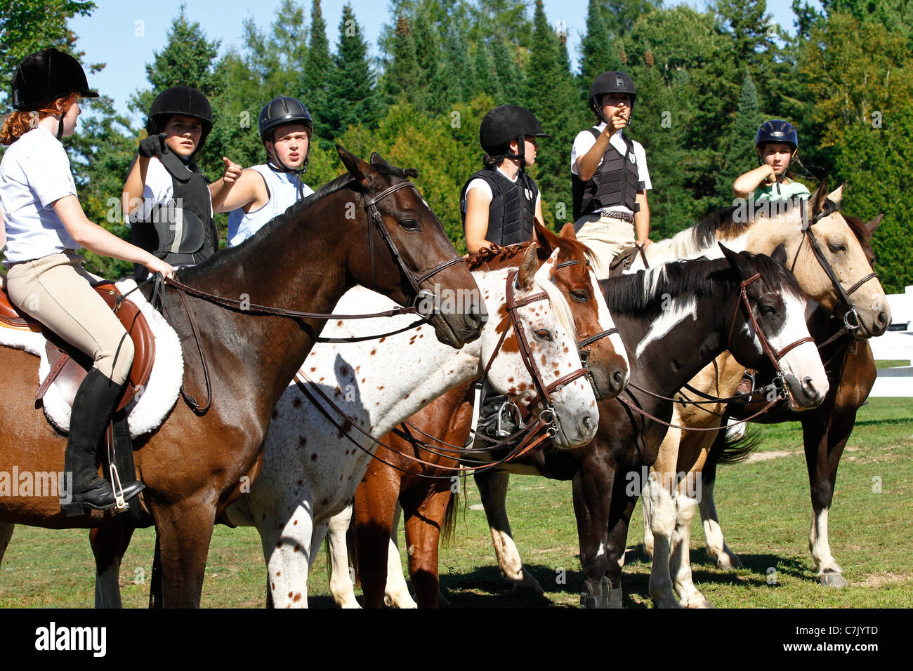 Six jeunes chevaux et cavaliers se tenir dans une ligne ensemble avant une compétition de saut à un spectacle de chevaux en Ontario, Canada Banque D'Images