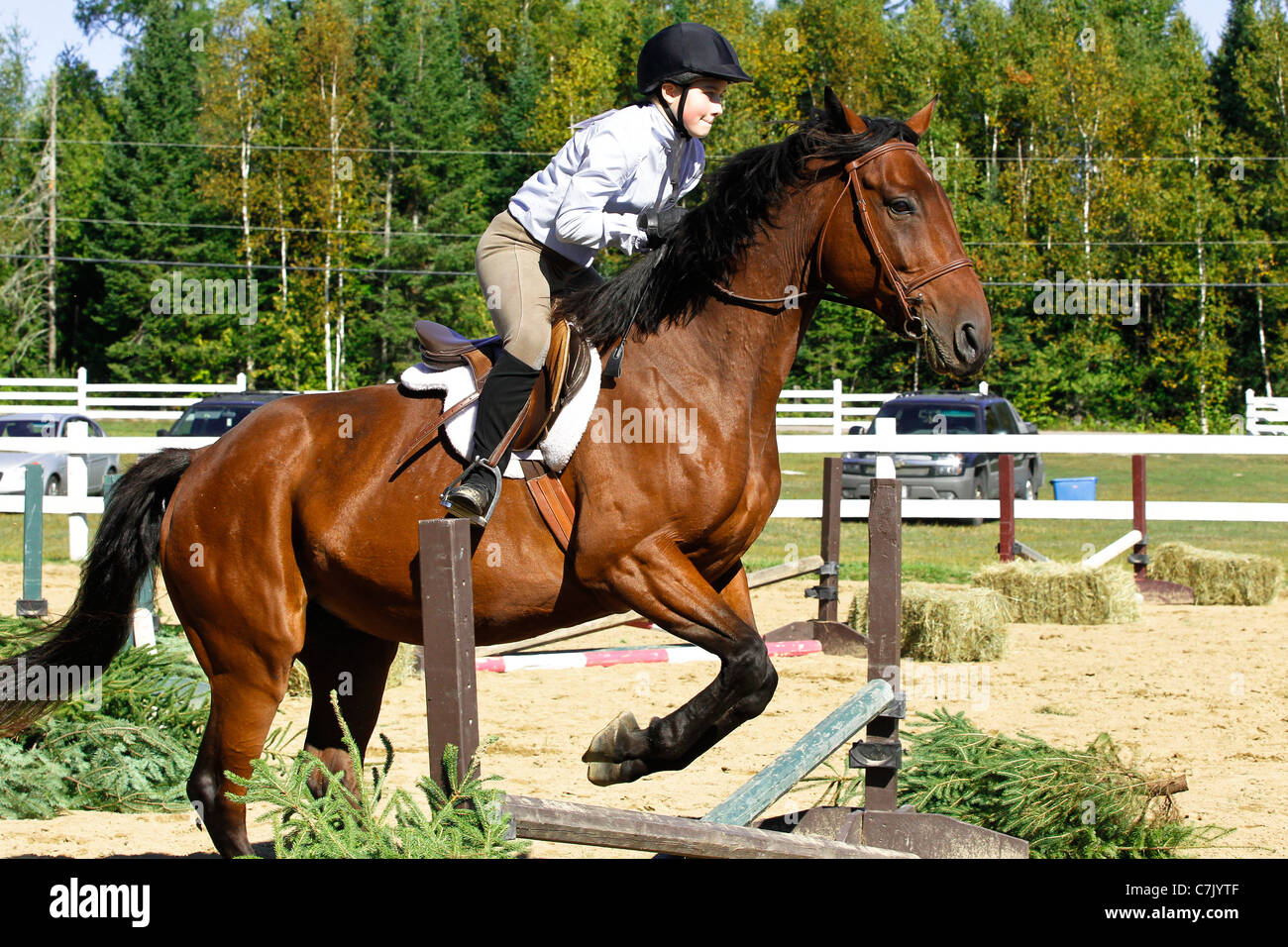 Jeune fille équitation bay horse saute par-dessus une croix de fer à un spectacle de chevaux en Ontario, Canada Banque D'Images