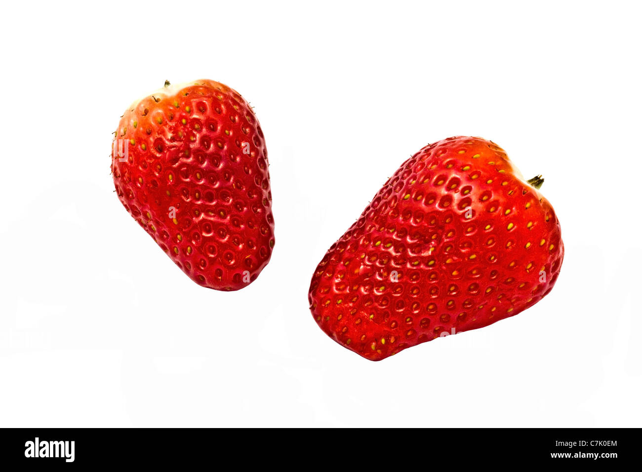 Fraises fraîches gros plan sur fond blanc Banque D'Images