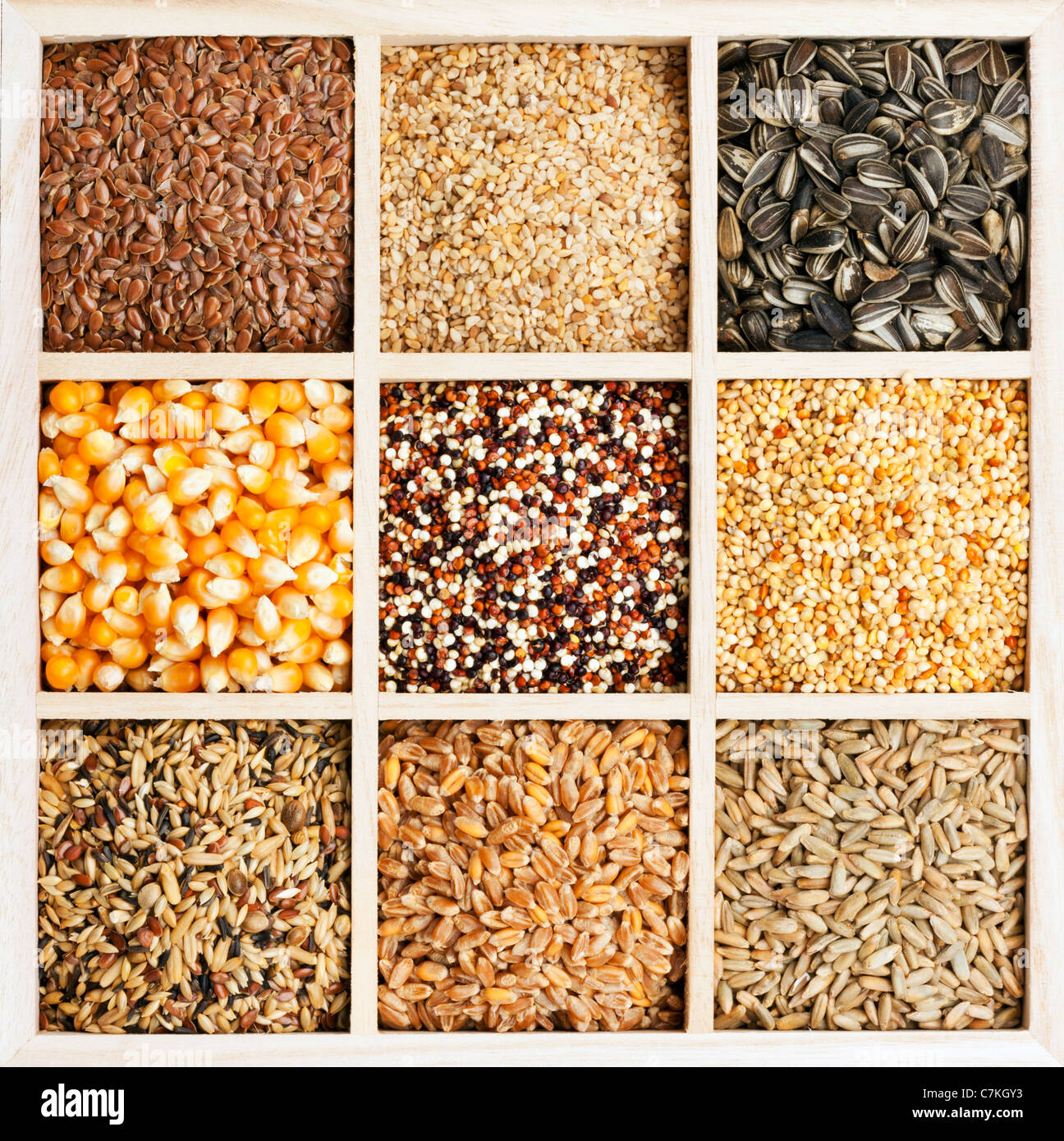 Variété de semences et de céréales en boîte en bois carré Banque D'Images