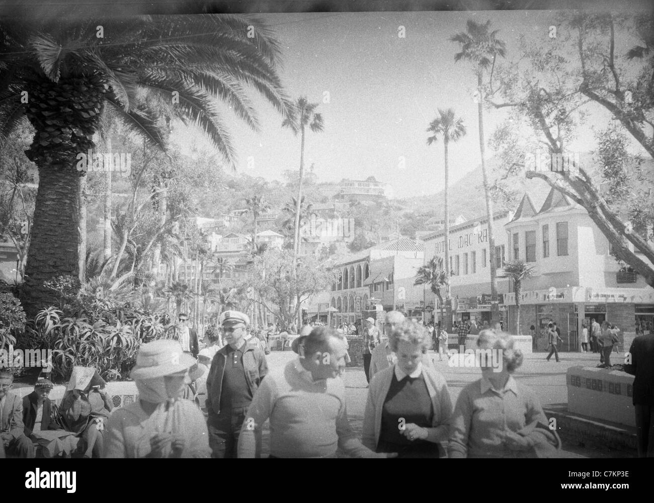 L'île de Catalina, Californie 1950 1960 trave palmiers tropicaux montagne Banque D'Images