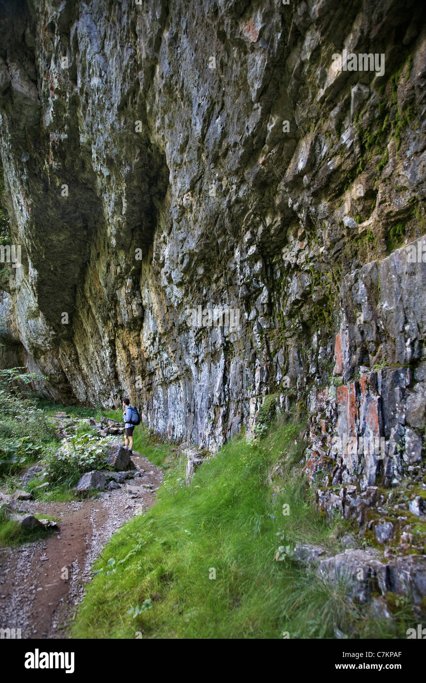 Une marchette négocie le surplomb en Chee Dale Derbyshire où la rivière Wye sape les falaises calcaires des gorges Banque D'Images