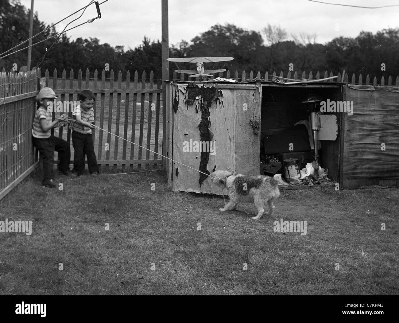 Deux garçons taquineries jouer avec chien tirant sur string Années 1940 Années 1950 Banque D'Images