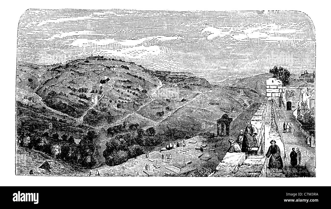 Mont des Oliviers, vue depuis la vallée de Jérusalem, vintage engraved illustration. Encyclopédie Trousset (1886 - 1891). Banque D'Images