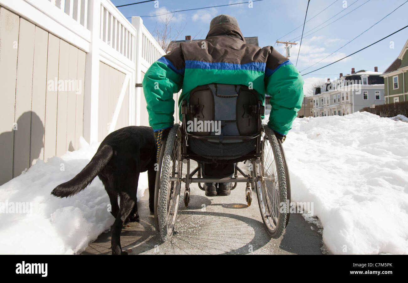 Femme avec la sclérose en plaques dans un fauteuil roulant avec un chien Banque D'Images