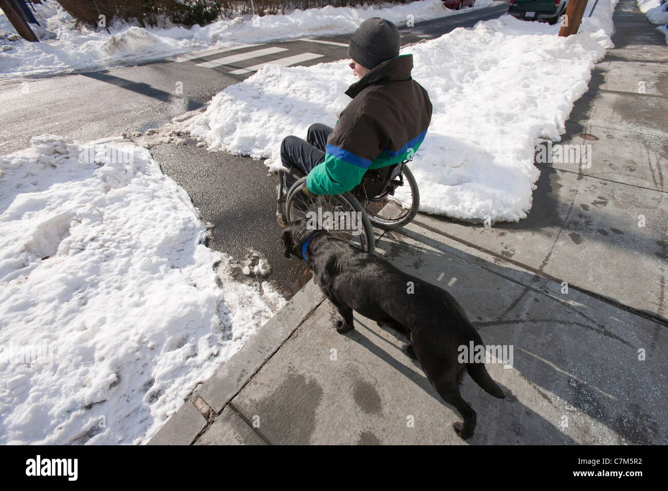 Femme avec la sclérose en plaques dans un fauteuil roulant avec un chien Banque D'Images