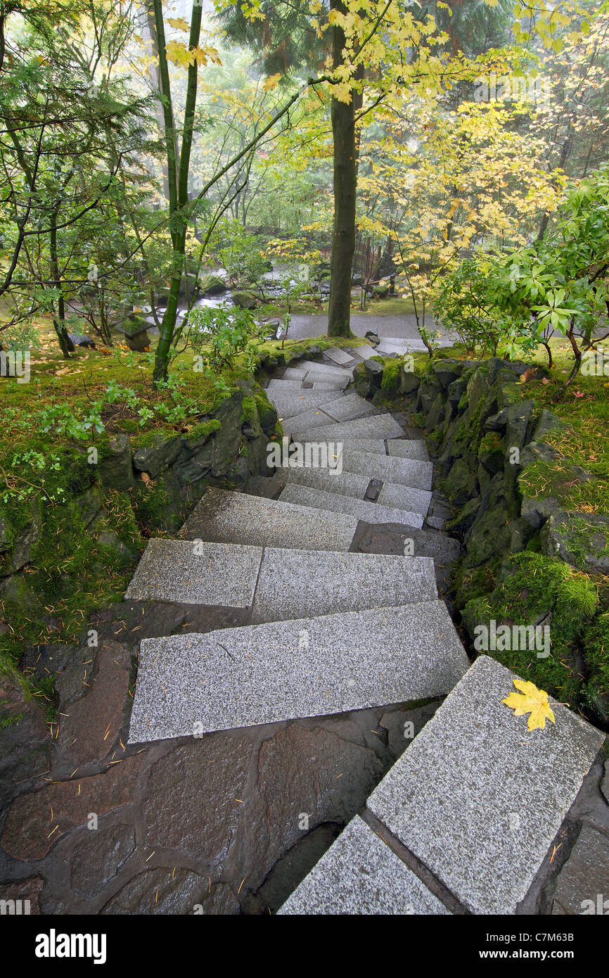 Escaliers marches en pierre dans jardin japonais en automne Banque D'Images