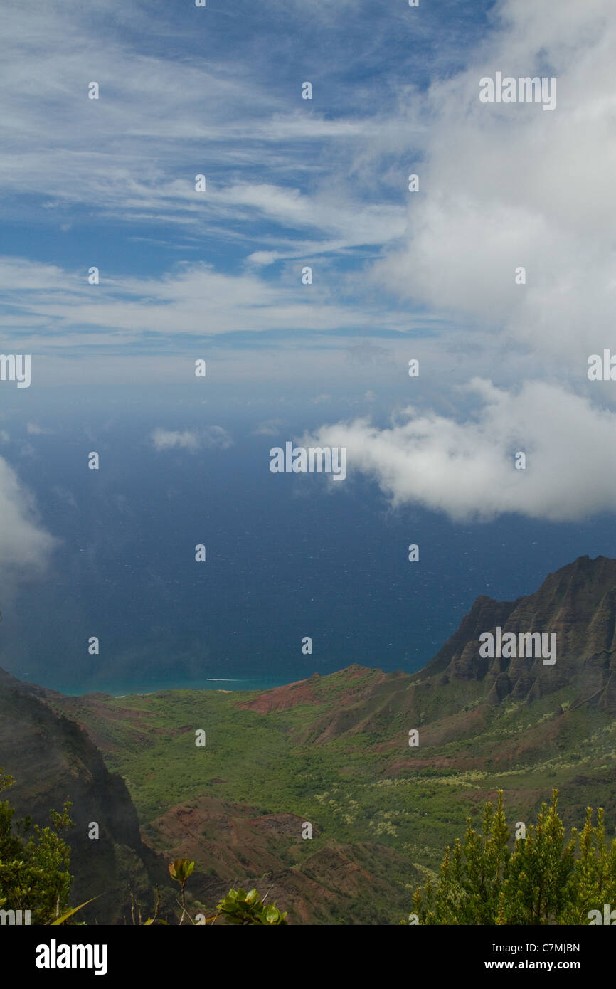 Regardant vers le bas sur la Kalalau Valley de Pu'u o Kila donnent sur sur l'île de Kauai. Banque D'Images