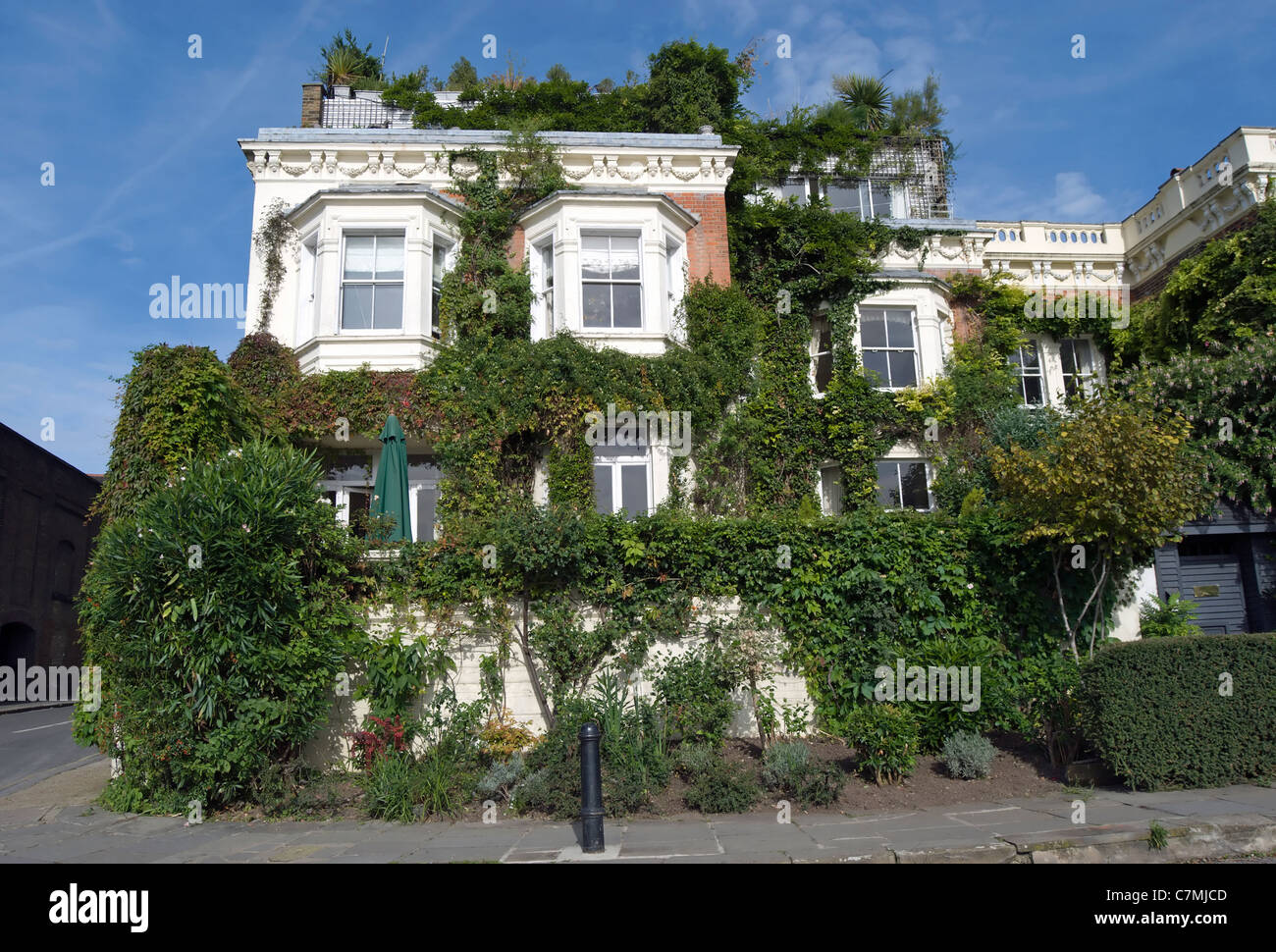 Couvert de lierre maison en face de la tamise sur Chiswick Mall, Londres, Angleterre Banque D'Images