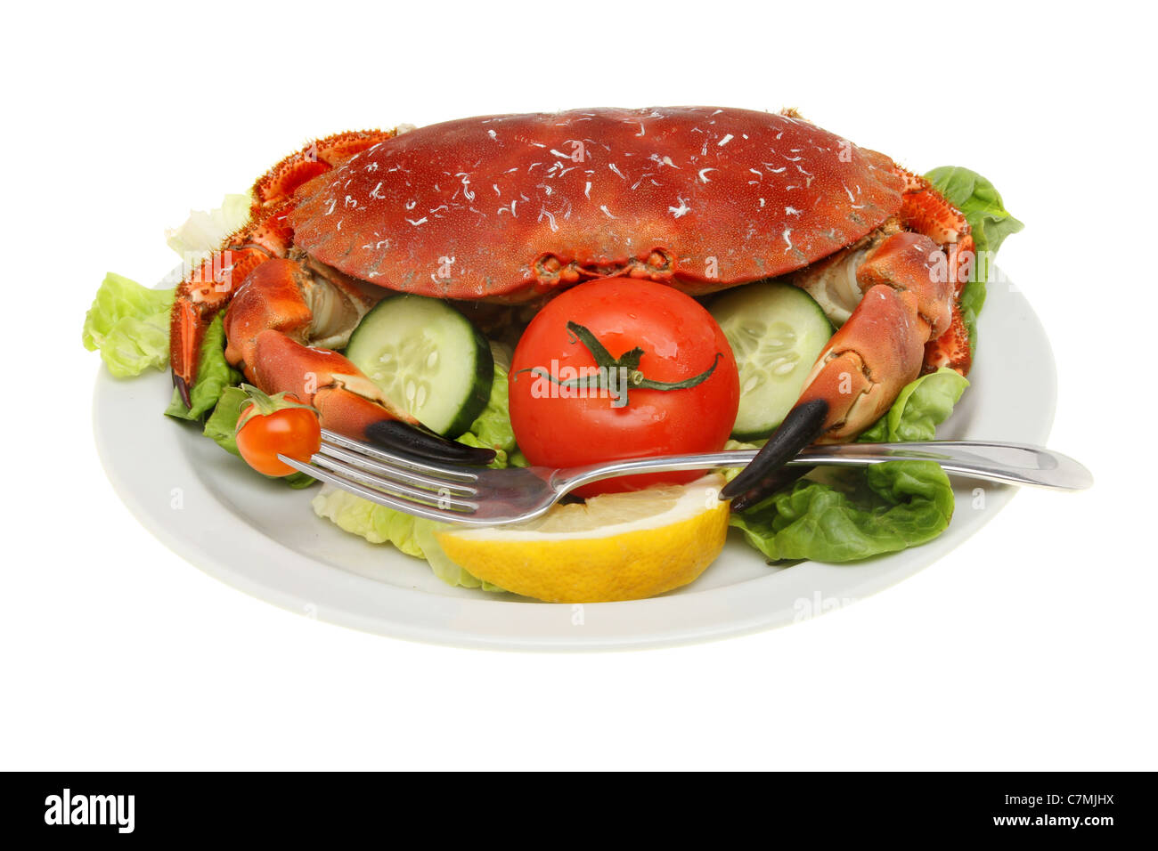 Ensemble de crabe brun avec une fourchette dans sa griffe sur un lit de salade isolés contre white Banque D'Images