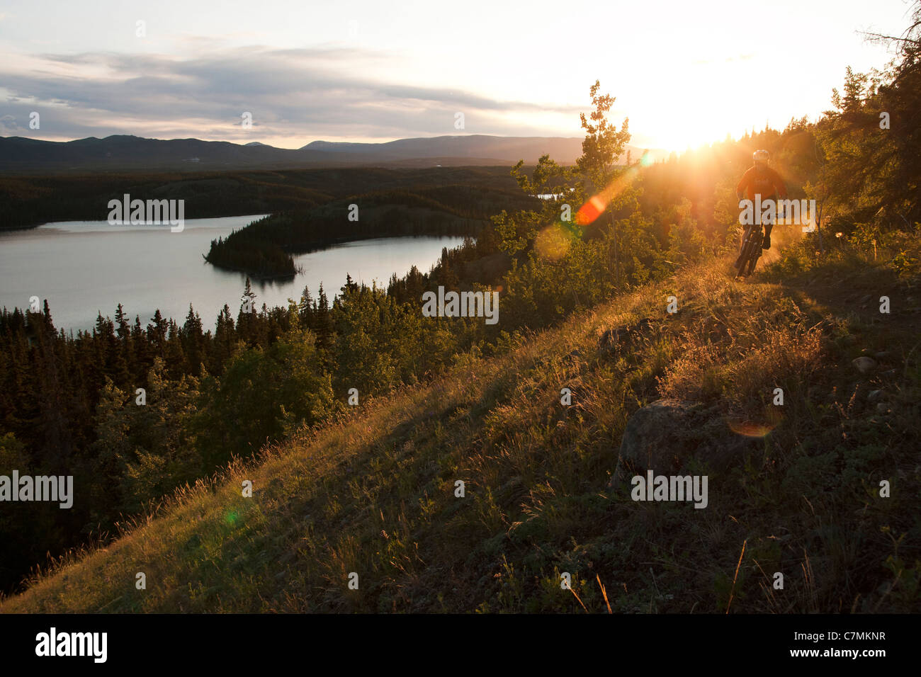 Un sentier monte un vélo de montagne sous le soleil de minuit à Whitehorse, Territoire du Yukon, Canada Banque D'Images