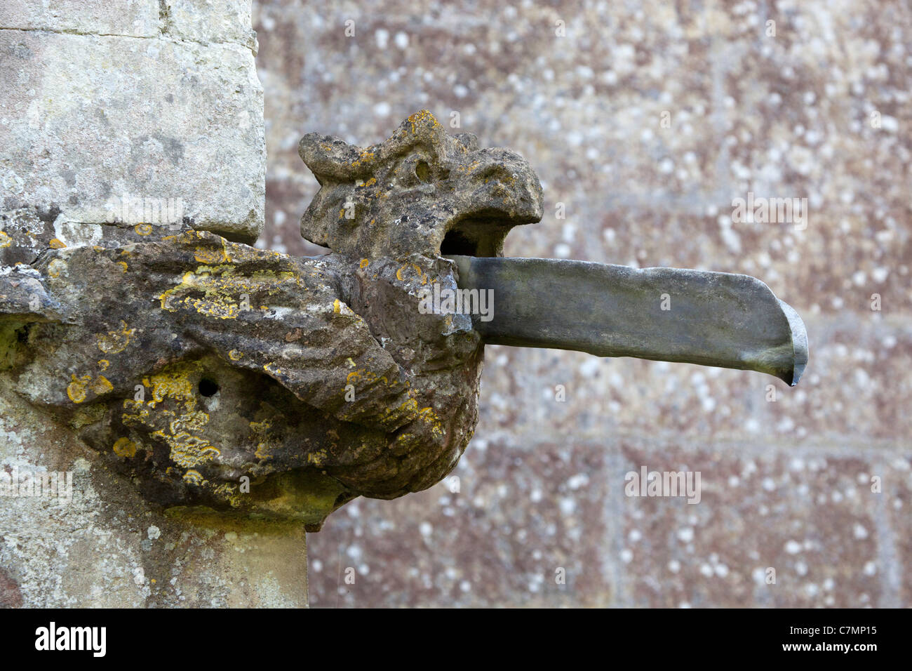 Gargouille sur le toit de l'église St Andrews Castle Combe Banque D'Images