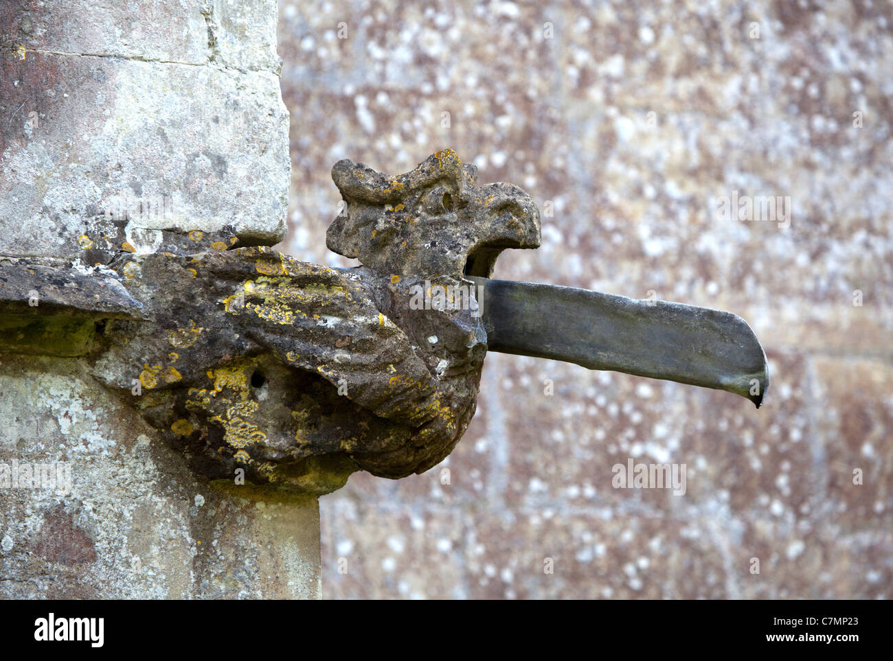 Gargouille sur le toit de l'église St Andrews Castle Combe Banque D'Images