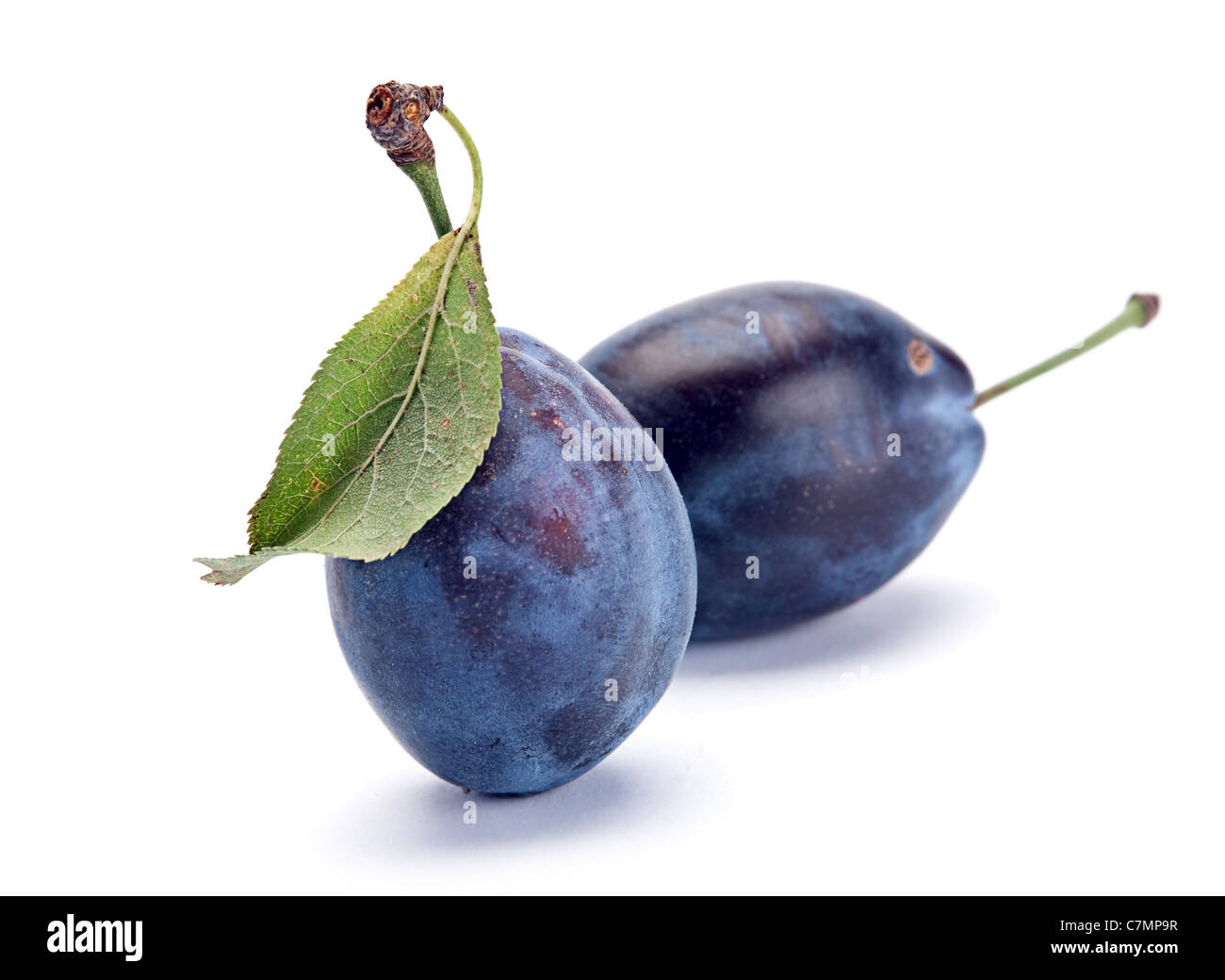 Blue fruit mûres libre isolated on white Banque D'Images
