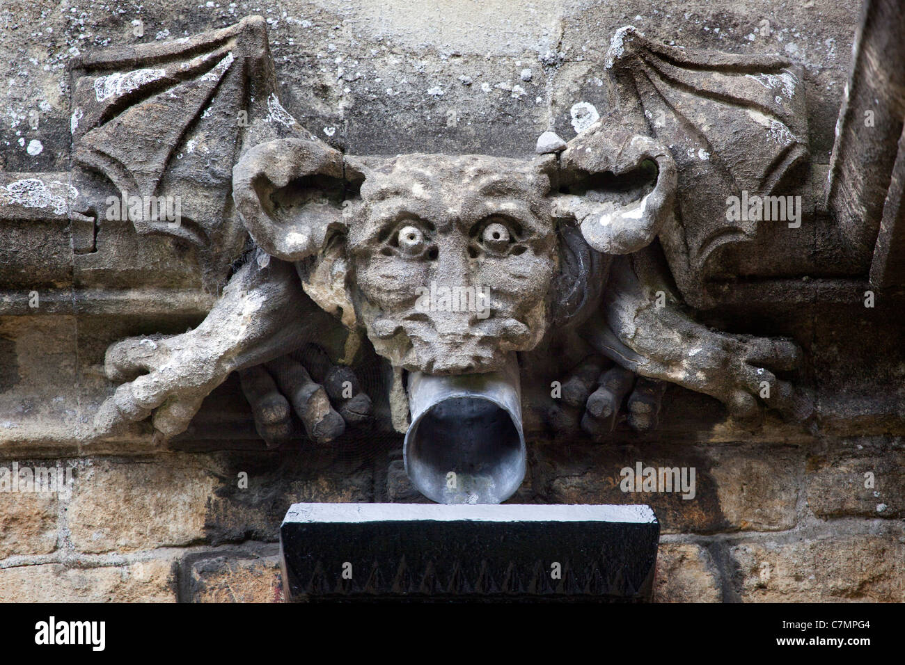 Gargouille sur le toit de l'église St Andrews Castle Combe Banque D'Images