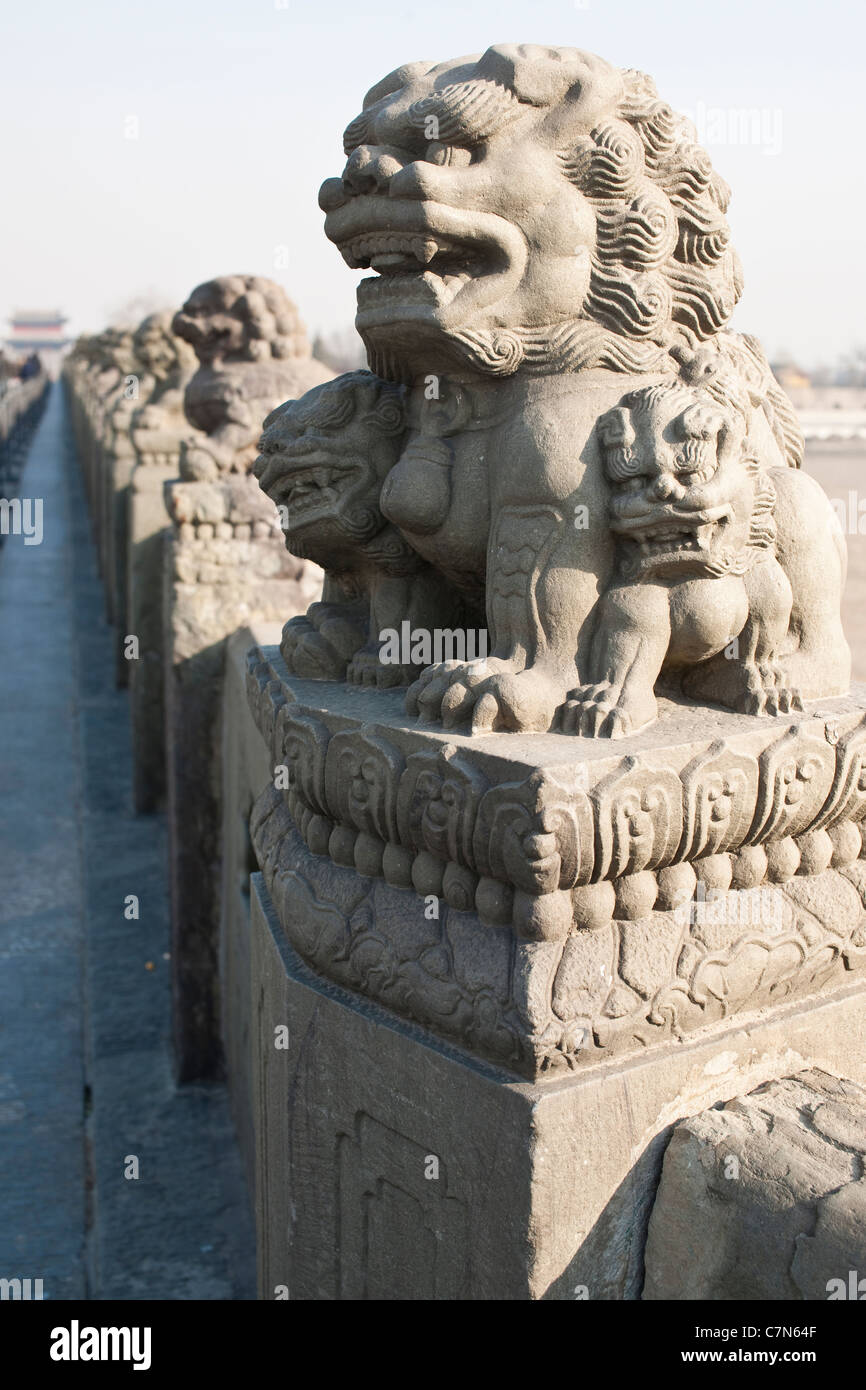Les lions en pierre à Lugou Qiao Banque D'Images