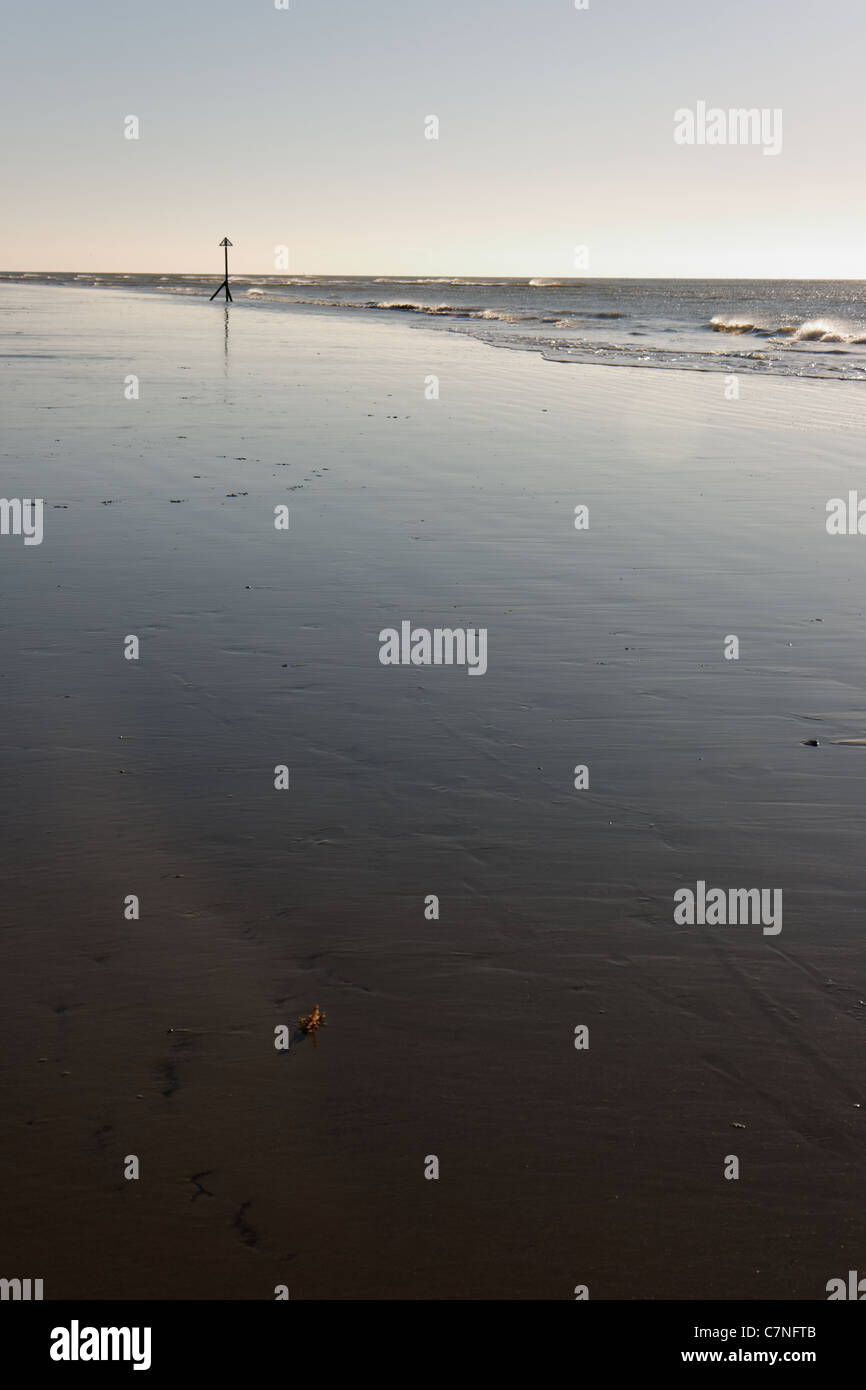 Épi et sable réflexions à West Wittering beach Banque D'Images