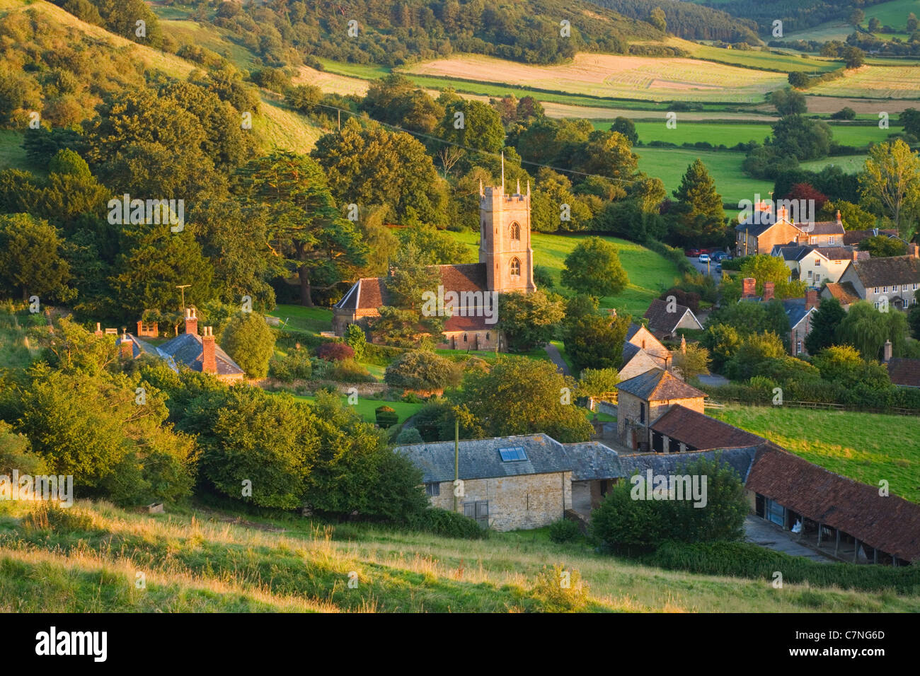 Corton Denham en été. Le Somerset. L'Angleterre Banque D'Images