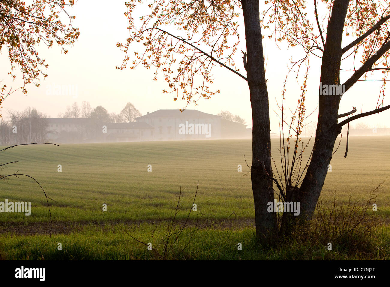 Ferme, champs, campagne italienne et du paysage naturel près de Curtatone Montanara, Mantoue, Mantoue, Lombardie, Italie Banque D'Images