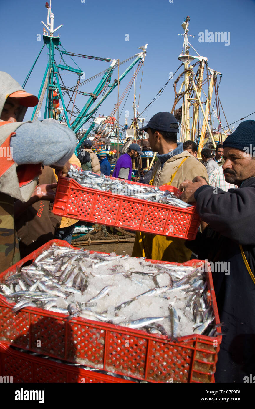 Caisses en plastique d'empilage de poissons sur le quai à Essaouira, Maroc Banque D'Images