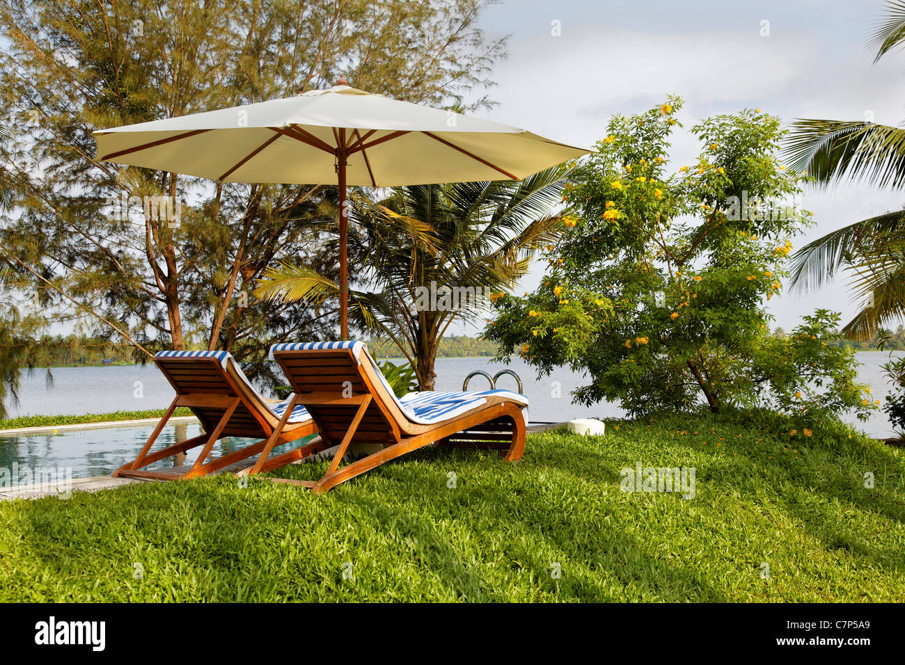 La piscine, paysage horizontal chaises de plage, parasol, piscine, lac et iternity calibrachoa Callie jaune foncé, pelouses, copy space Banque D'Images