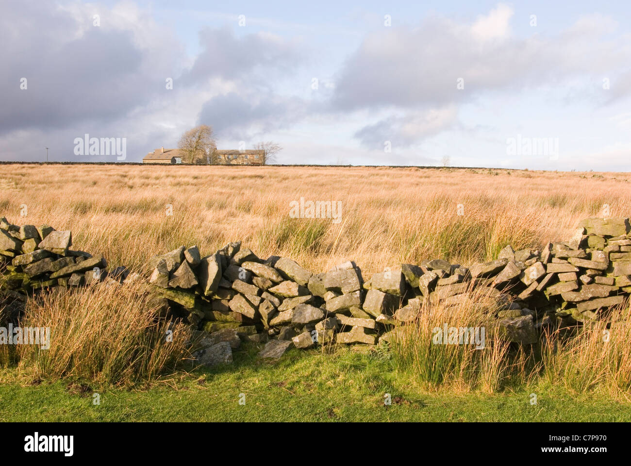 Dans Washburndale ferme landes à distance, Yorkshire, UK Banque D'Images
