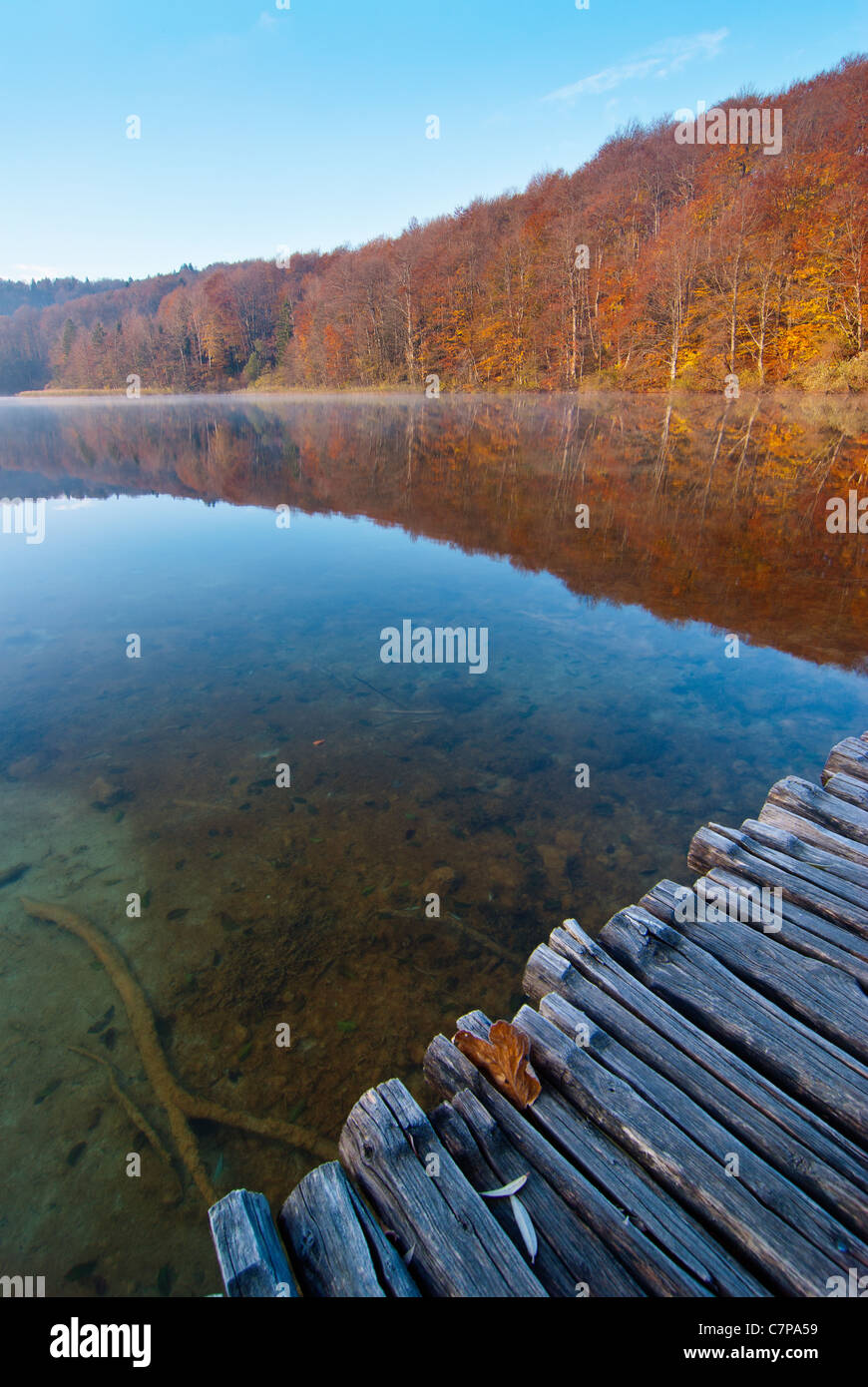 Le plus beau et le plus célèbre parc national en Croatie. Des lacs de Plitvice. Les photos prises à l'automne. Banque D'Images