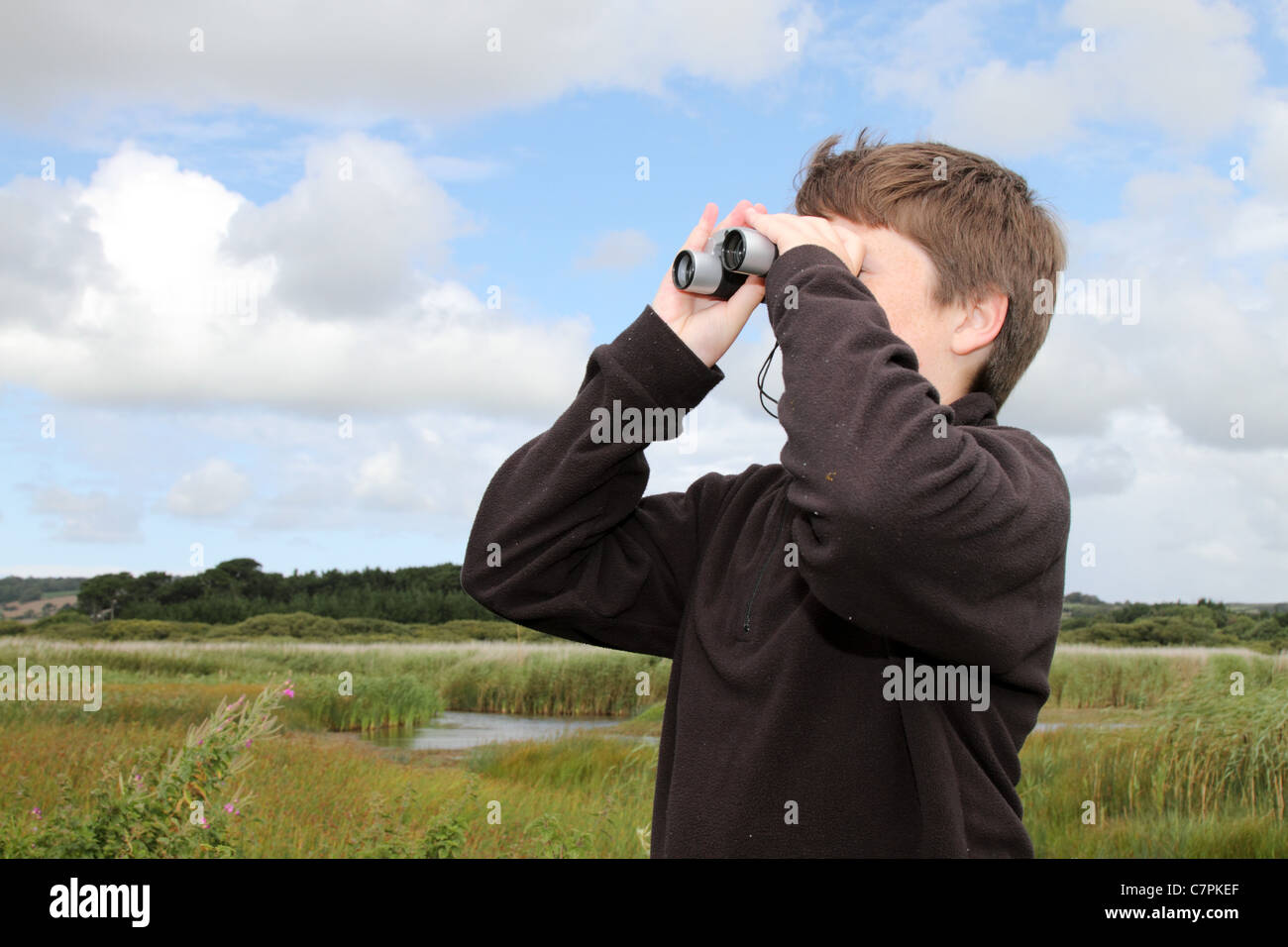 L'observation des oiseaux ; garçon ; Cornwall Marazion Banque D'Images