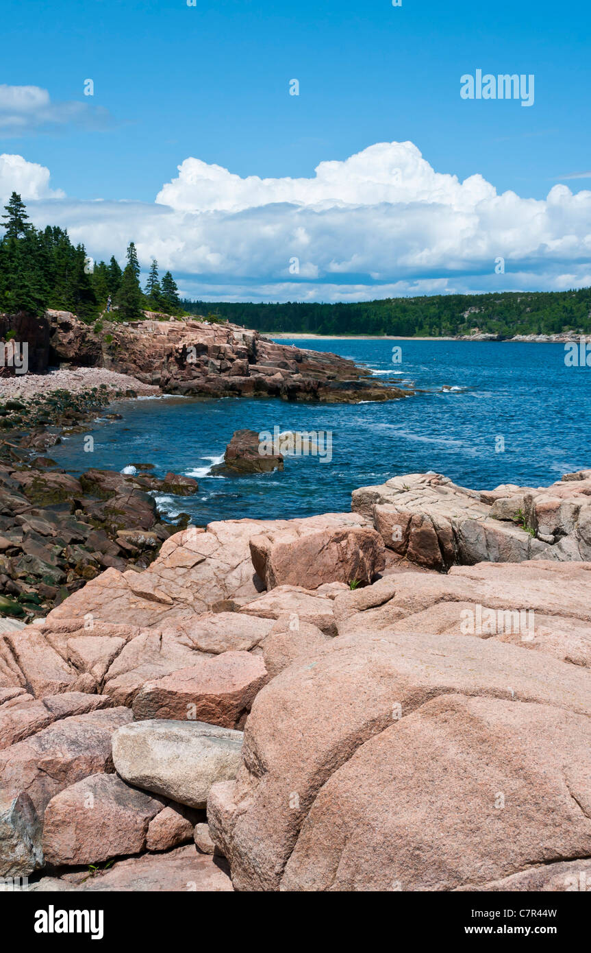 Cliffs à côté de Thunder Hole Acadia national park Maine Banque D'Images