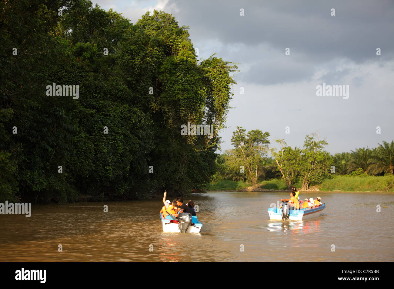 Croisière sur la rivière Kinabatangan, Sabah, Bornéo, Malaisie Banque D'Images