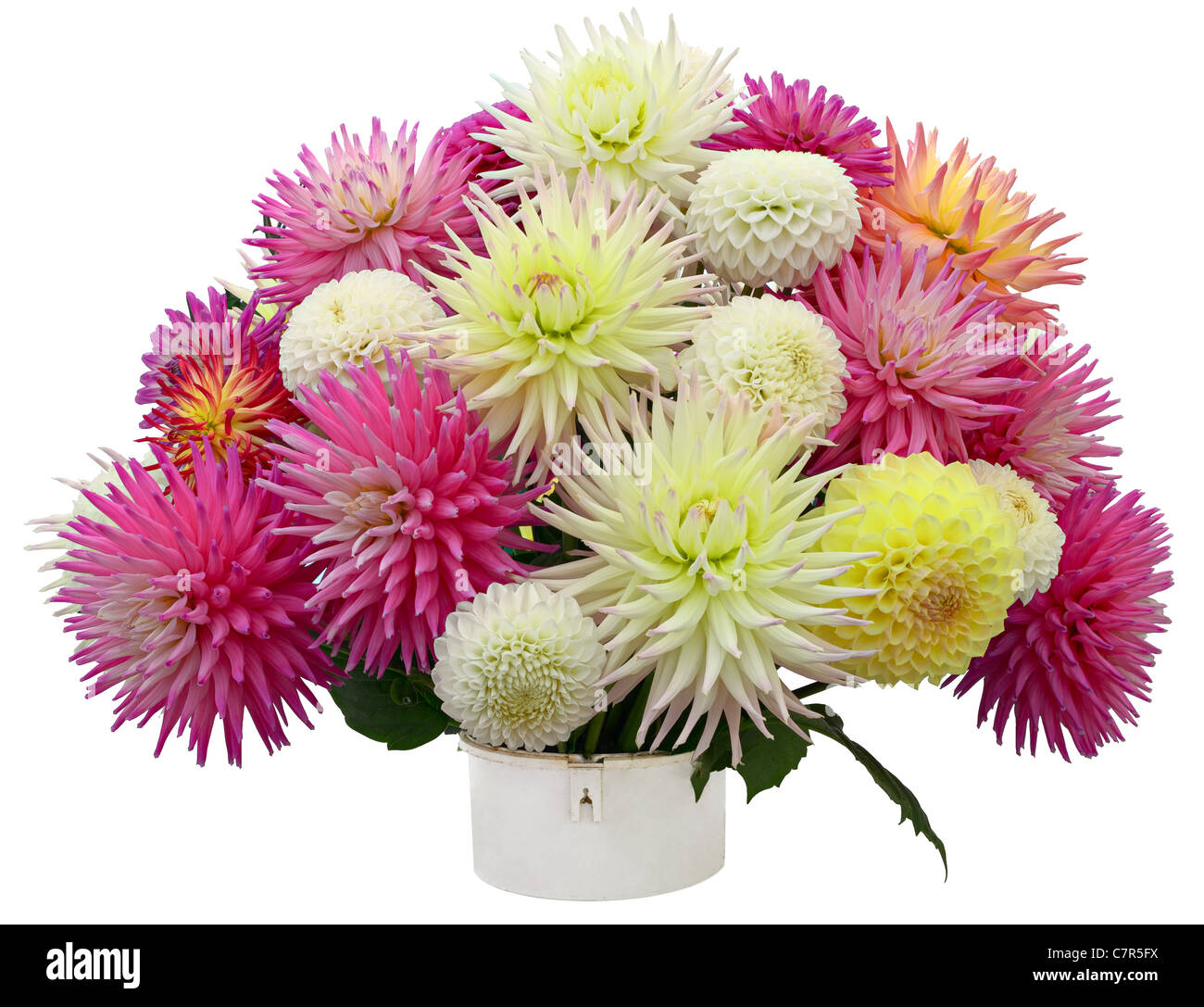 Arrangement de fleurs de chrysanthèmes et dahlias Banque D'Images