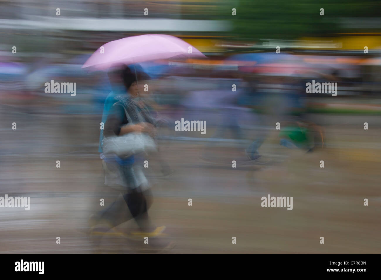 Les gens avec des parasols sous la pluie, Suzhou, Province de Jiangsu, Chine Banque D'Images