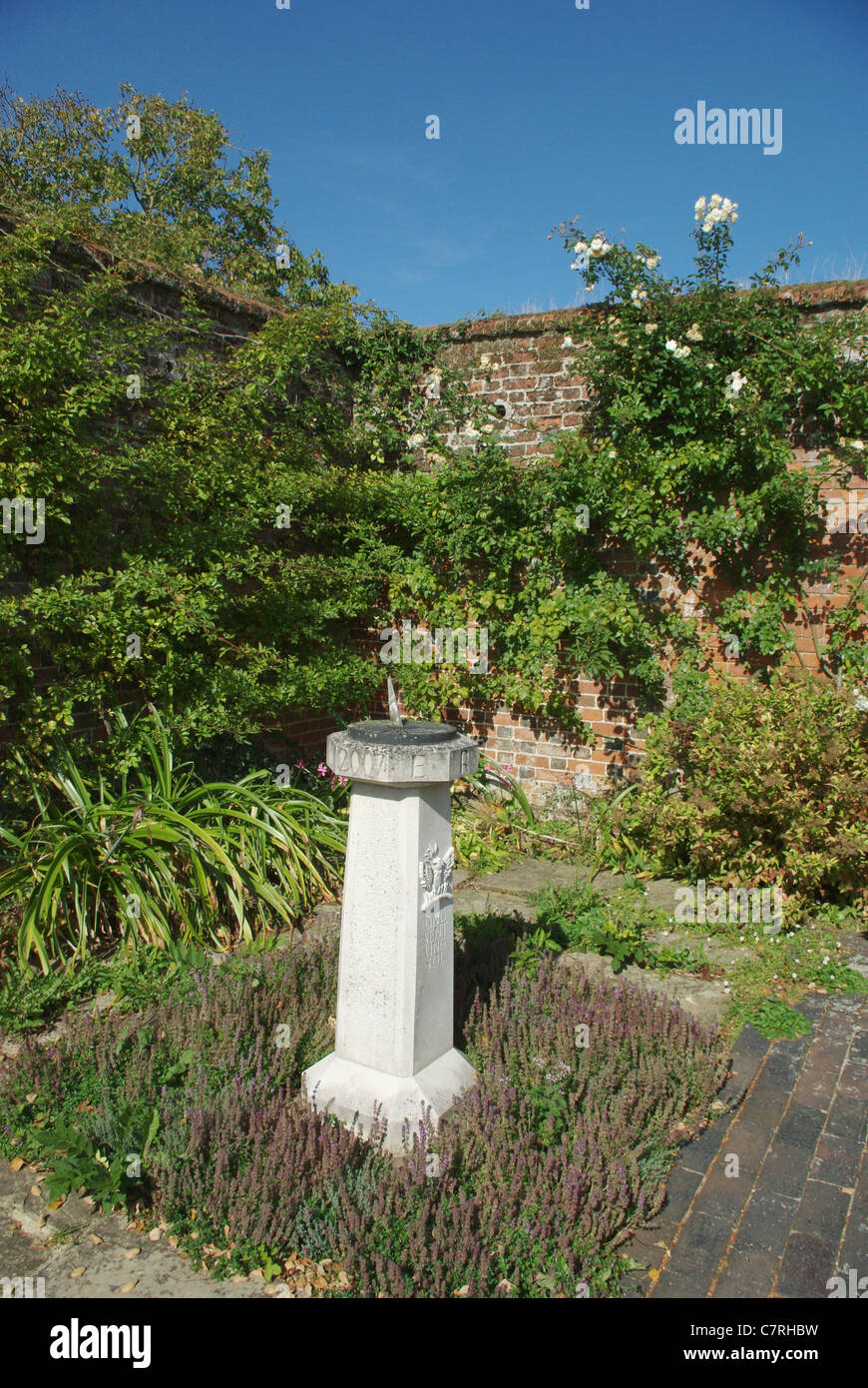 Cadran solaire en face d'un mur de briques avec les grimpeurs, Claydon Gardens, UK Banque D'Images