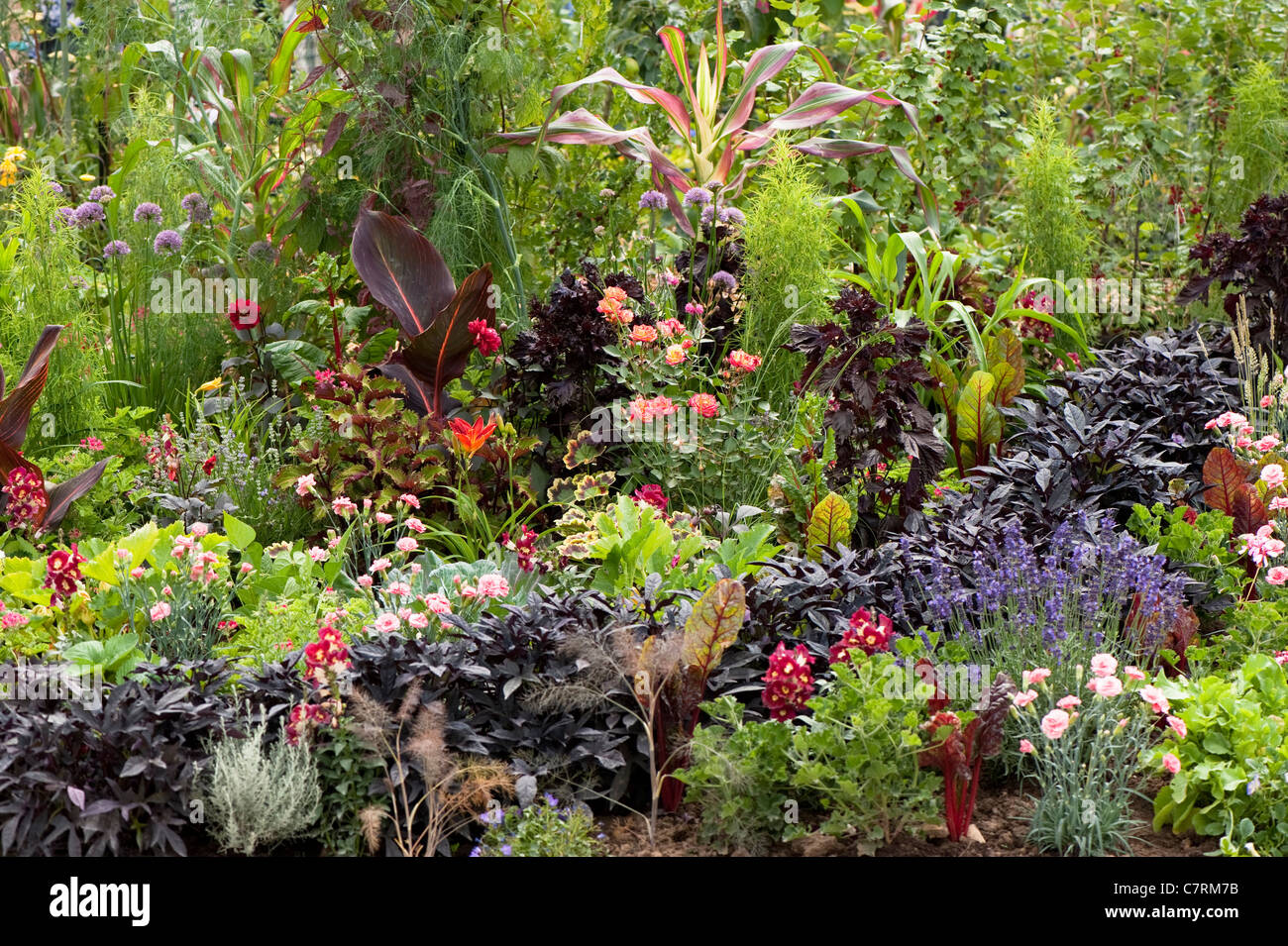 Les RHS Jardin comestible à 2011 Hampton Court Palace Garden, UK Banque D'Images