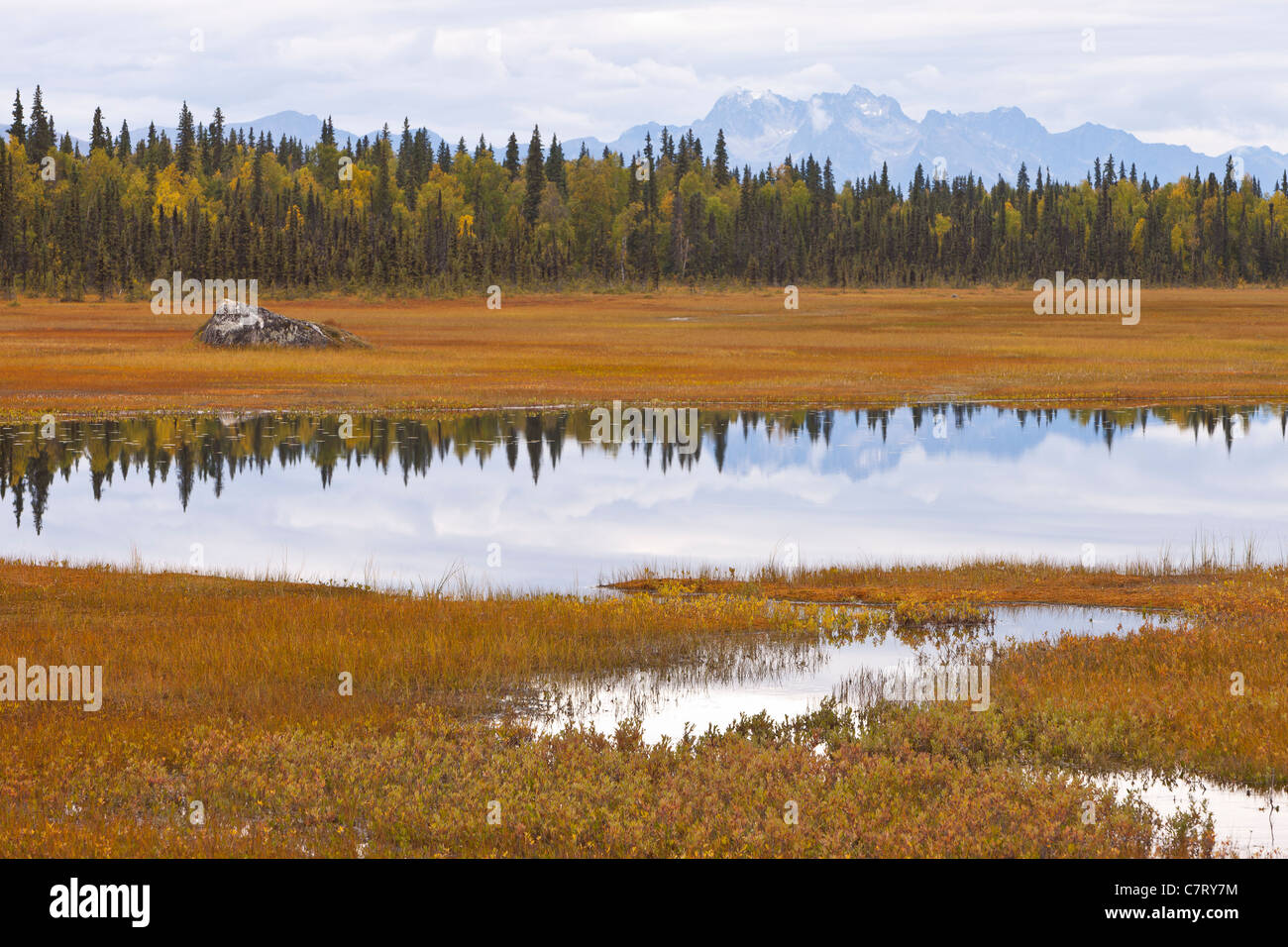 ALASKA, USA - Les terres humides près de Petersville Road. Banque D'Images