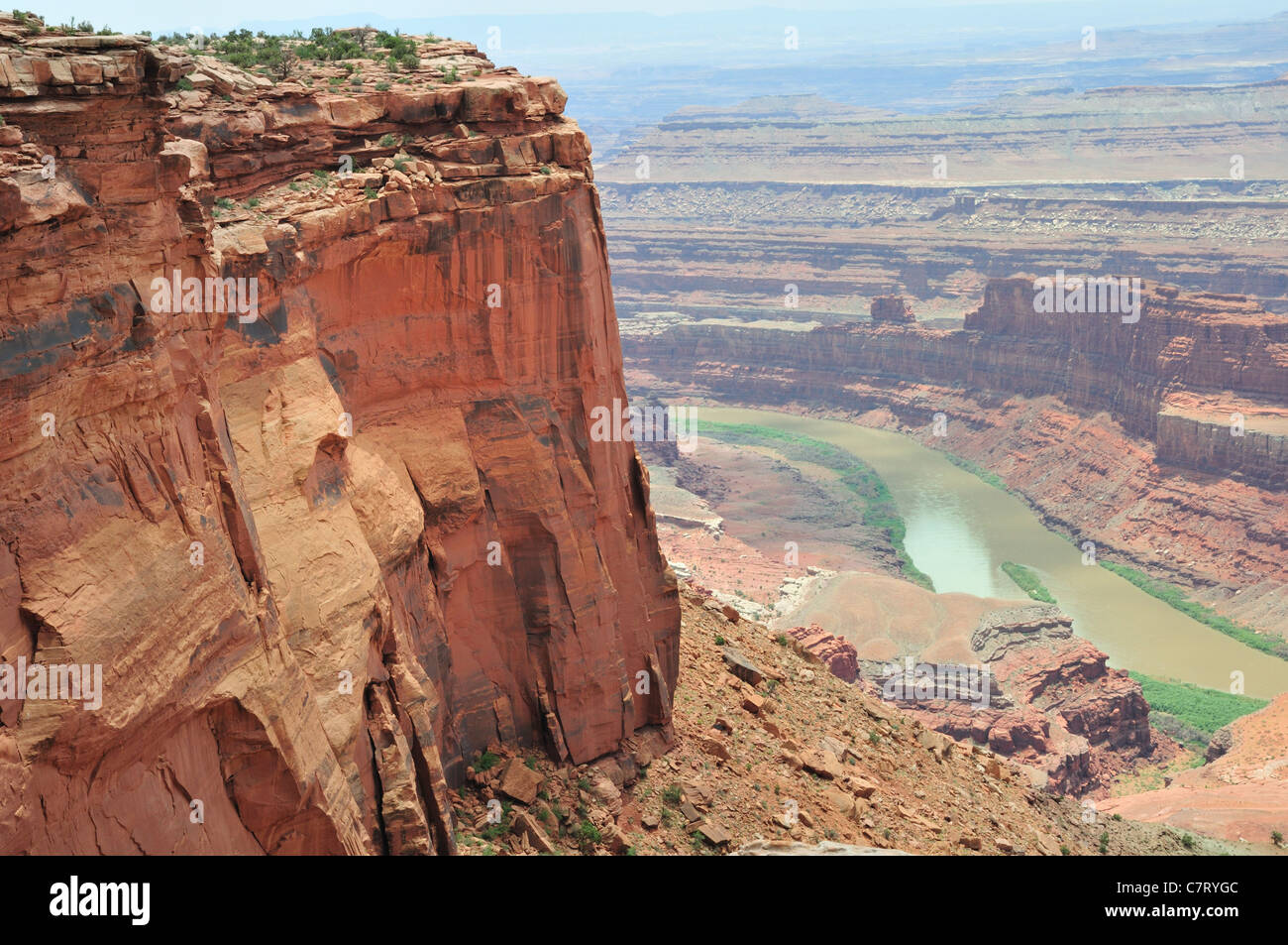 Le fleuve Colorado a des falaises de grès sculpté en formations rocheuses inhabituelles dans la région de Dead Horse Point State Park près de Moab, Utah Banque D'Images