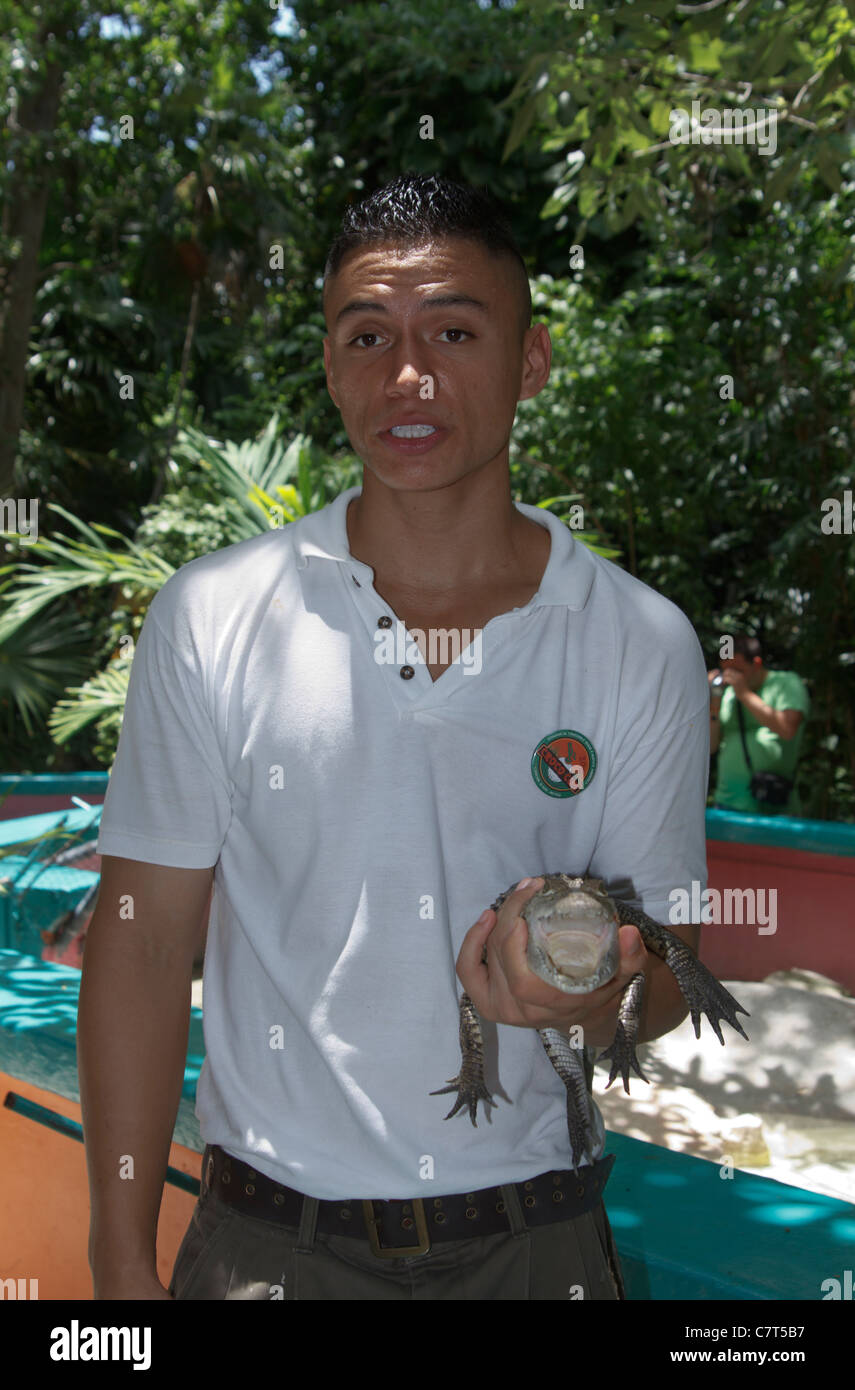 Cun Croco zoo. Un guide au zoo Cun Croco montrant un bébé crocodile, Puerto Morelos, Riviera Maya, la côte des Caraïbes du Mexique. Banque D'Images