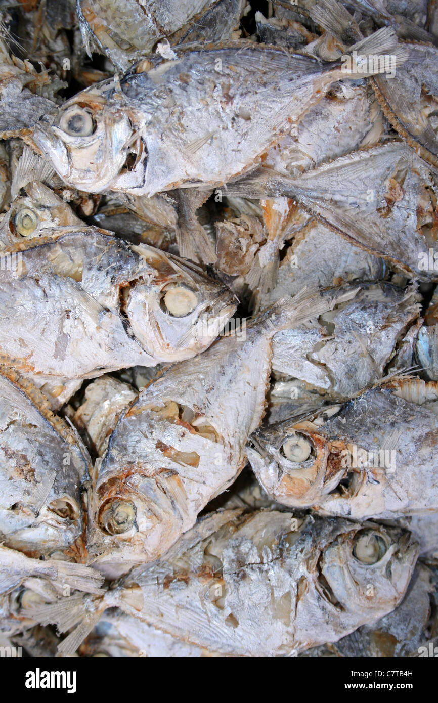 Le poisson séché à la vente à un marché indonésien Banque D'Images