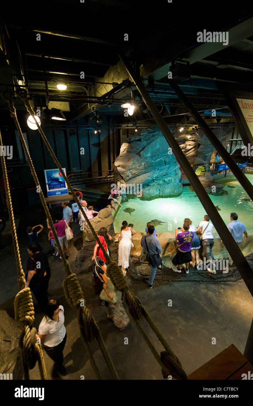 L'Italie, Ligurie, Aquarium de Gênes, les gens à la recherche de tortues de mer Banque D'Images