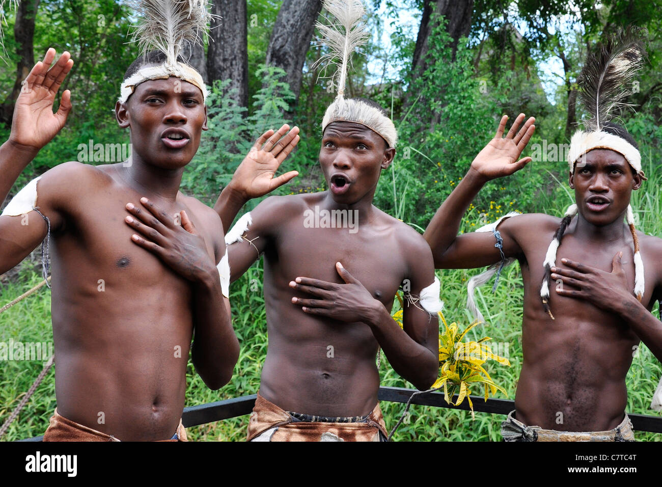 L'Afrique, le Zimbabwe, les autochtones de la danse Banque D'Images