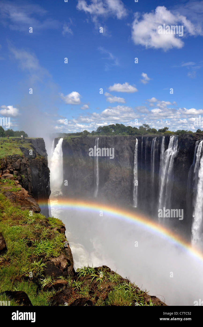 L'Afrique, le Zimbabwe, les chutes Victoria sur le fleuve Zambèze Banque D'Images