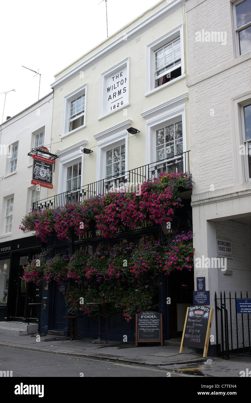 Le WILTON ARMS 1826, l'un des maisons publiques de Belgavia au calme à dans Kinnerton Street. Banque D'Images