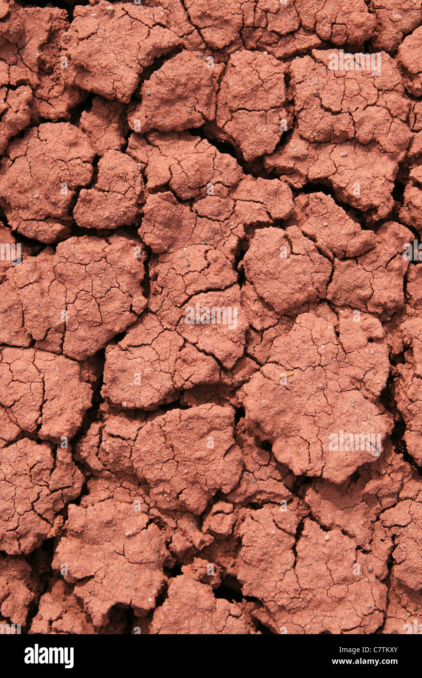 La masse rouge fissuré avec un sol riche en argile de bentonite Banque D'Images